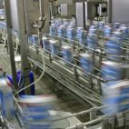 Outsourcing & Offshoring